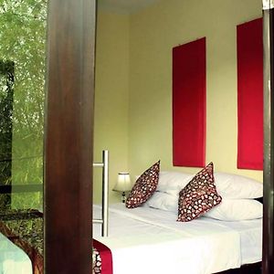 Chambre Supérieure Double